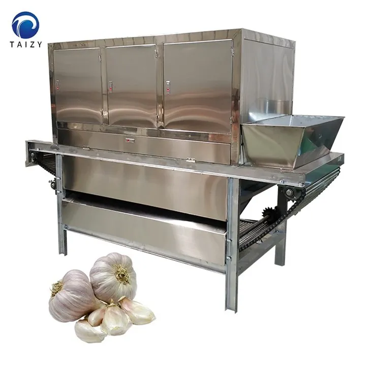 chain type garlic peeling machine-2